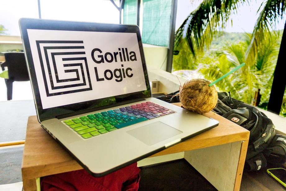 Gorilla Logic in Costa Rica